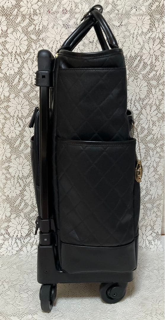 【はなちゃん】SWANY キャリーバッグ　Lサイズ