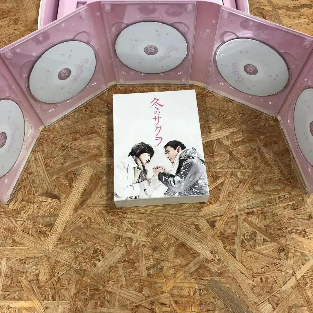 M2589 冬のサクラ 豪華版DVD-BOX ※箱にダメージあり
