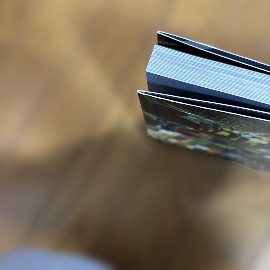 [美品]HAPPY VICTIMS 着倒れ方丈記 安達貴史