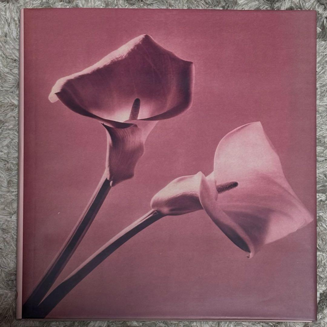 【希少】Pistils Robert Mapplethorpe 写真集