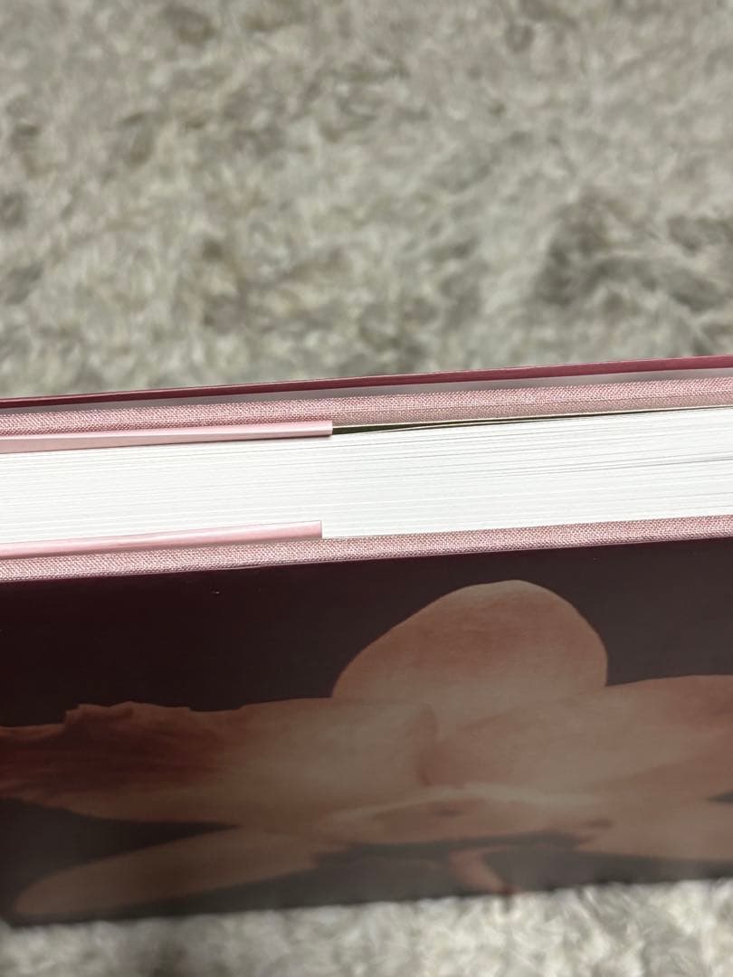 【希少】Pistils Robert Mapplethorpe 写真集