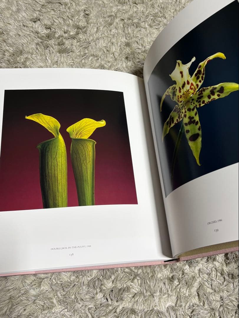 【希少】Pistils Robert Mapplethorpe 写真集