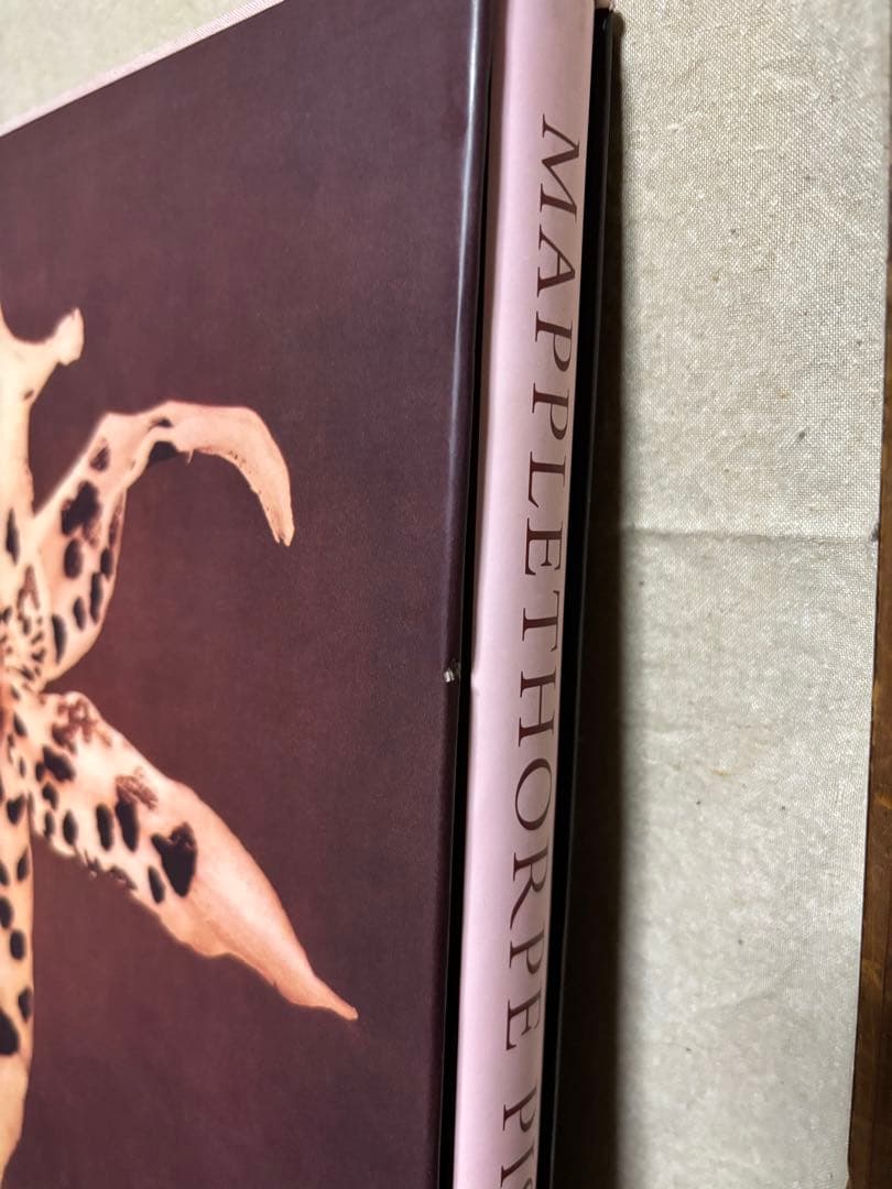 【希少】Pistils Robert Mapplethorpe 写真集