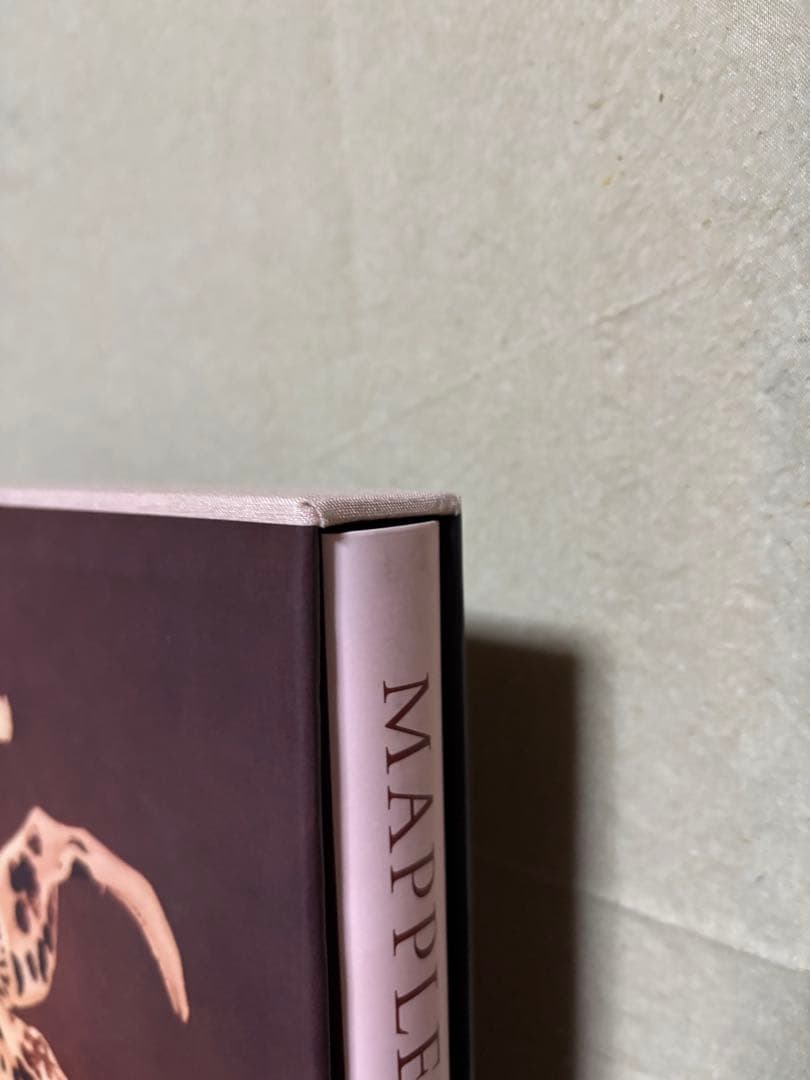 【希少】Pistils Robert Mapplethorpe 写真集