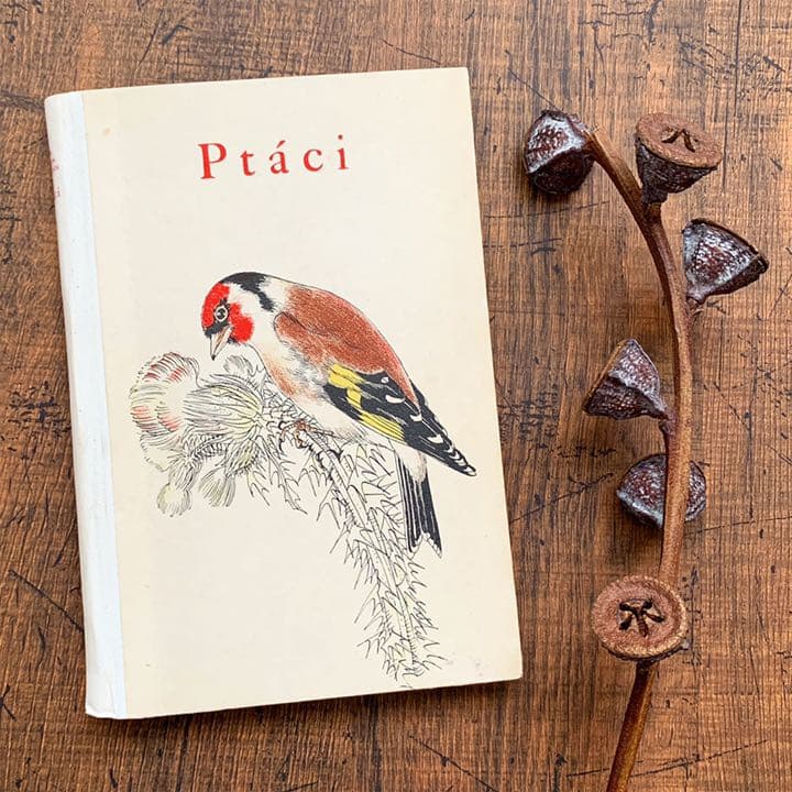 [素朴で美しい鳥の絵]チェコの古い鳥類図鑑(1941年)/ヴィンテージ 雰囲気◎