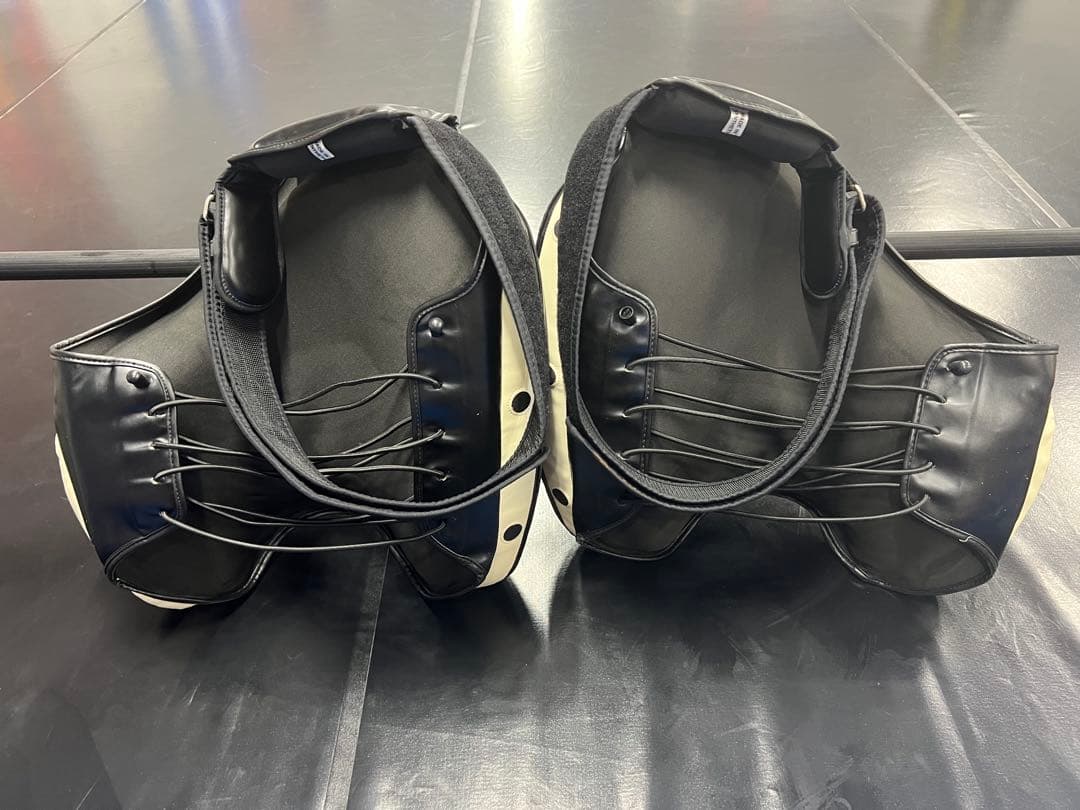 Fairtex Fairtex フェアテックス ローキック用タイパッド　黒