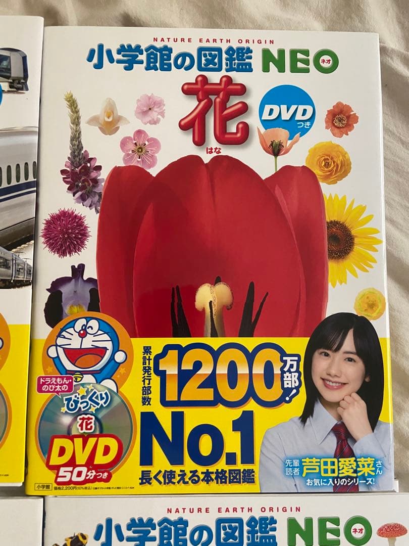 【バラ売り可、美品8冊DVD付】小学校の図鑑 NEO