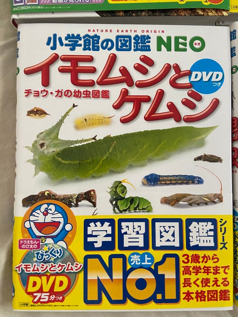 【バラ売り可、美品8冊DVD付】小学校の図鑑 NEO
