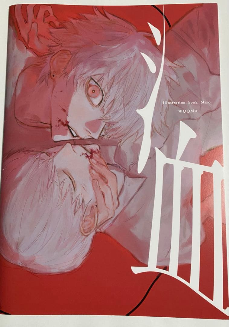 WOOMA　洫-MIZO- サイン入り イラスト 画集