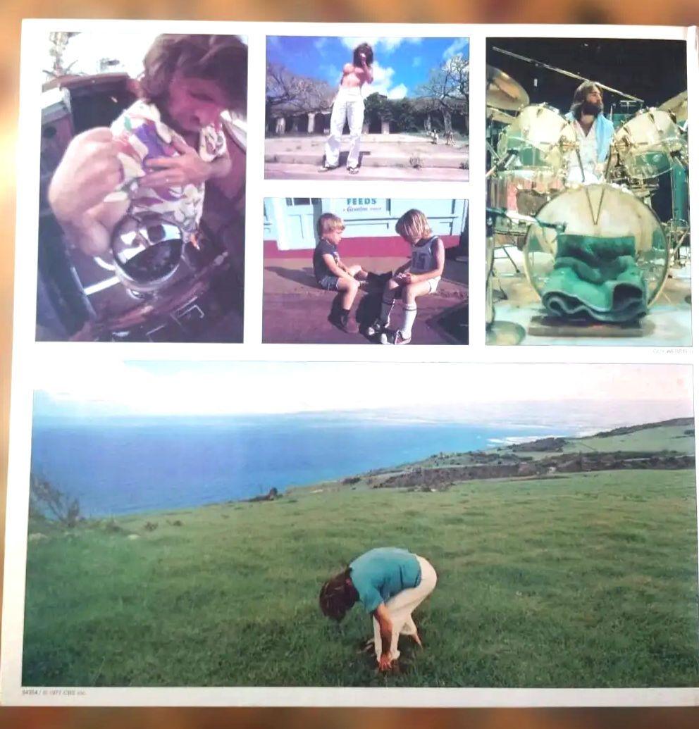 US初回プロモ盤DENNIS WILSON PACIFIC OCEAN BLUE