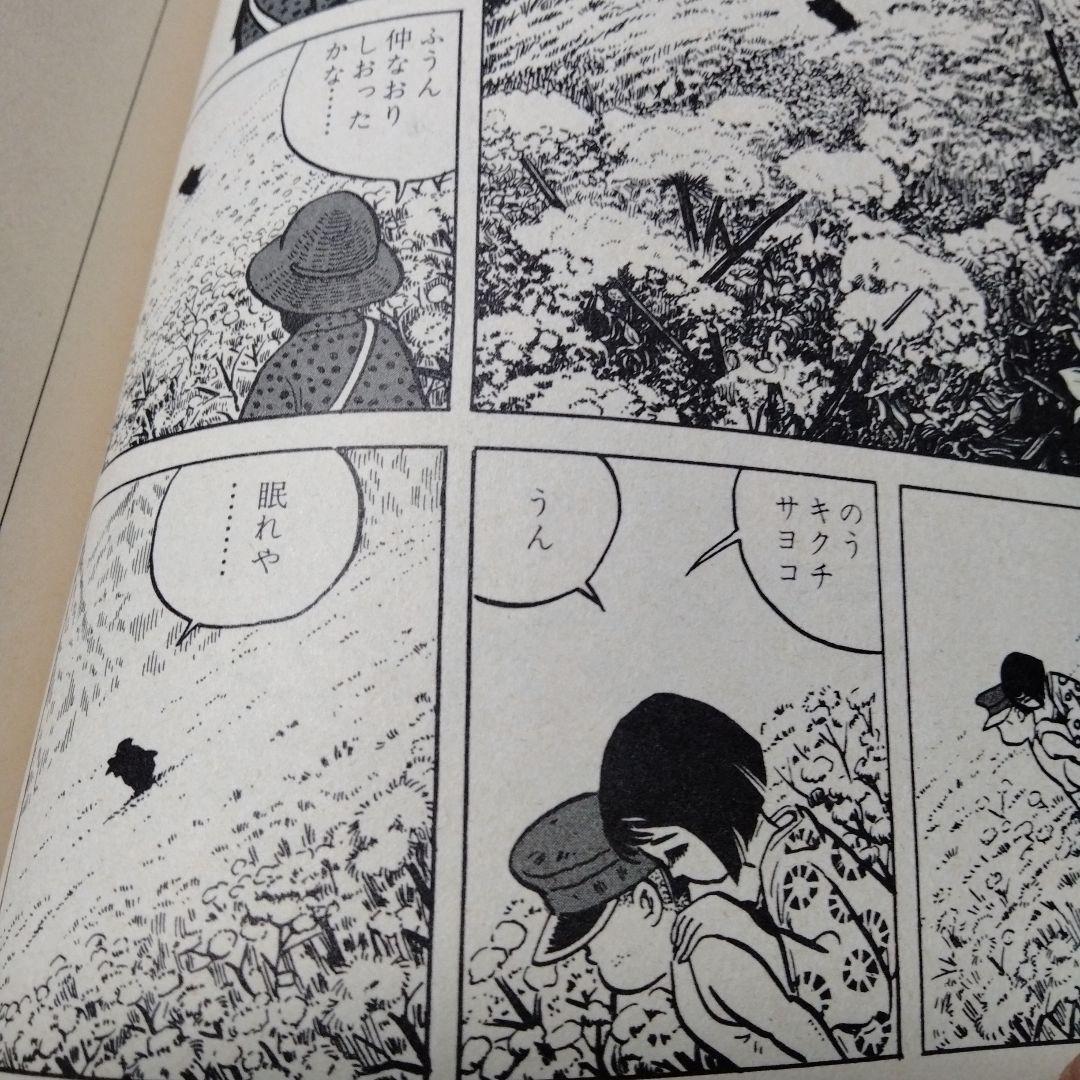 リアリズムの宿 つげ義春 旅作品集 早戸温泉 紅い花 オンドル 二岐渓谷