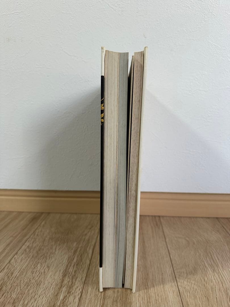 Dr.  Herberts 東アジアの漆器　書籍　専門書　古本　ドイツ語