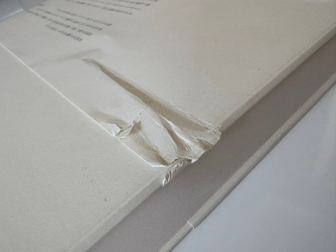 MIES VAN DER ROHE 上田義彦　ミースファンデルローエ