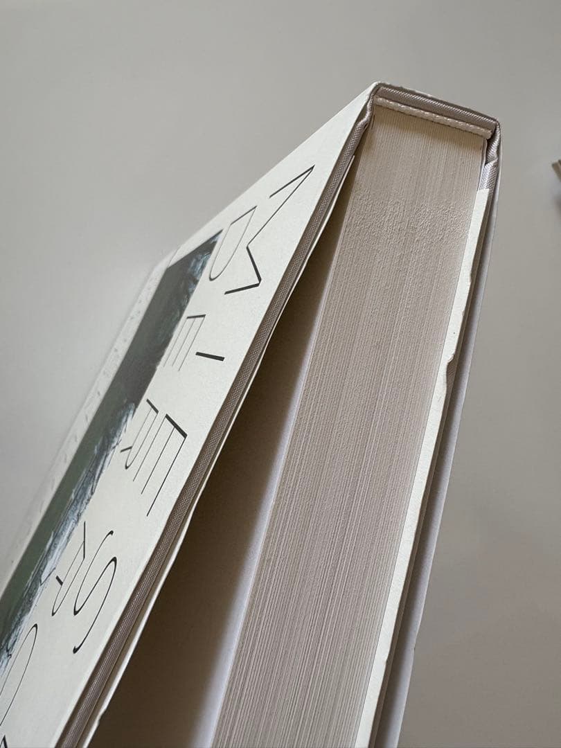 MIES VAN DER ROHE 上田義彦　ミースファンデルローエ