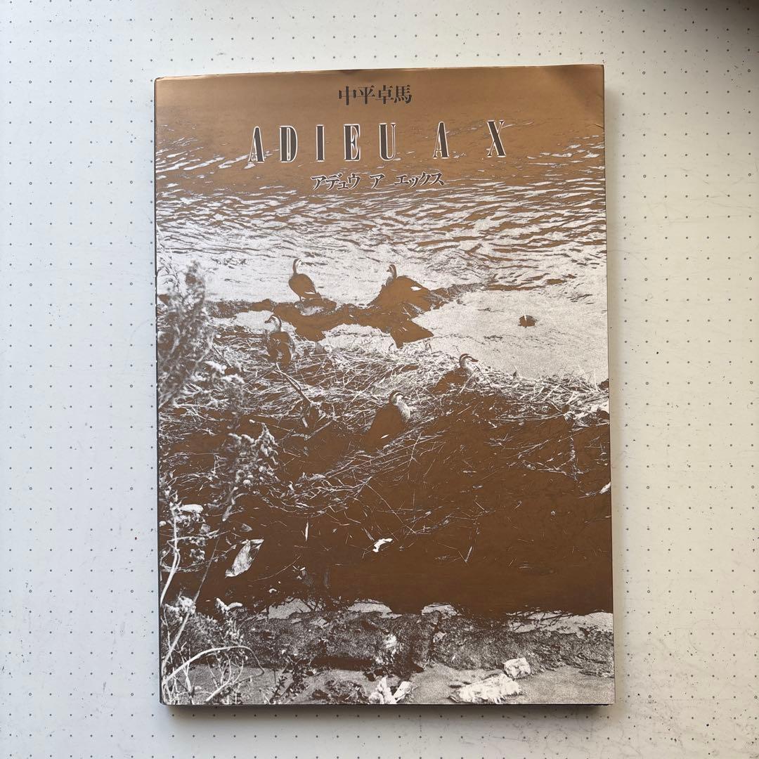 初版 中平卓馬 ADIEU A X アデュウ ア エックス