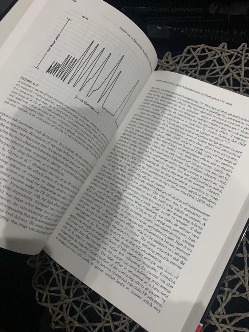 Methods of Behavior Analysis in… 洋書　レア