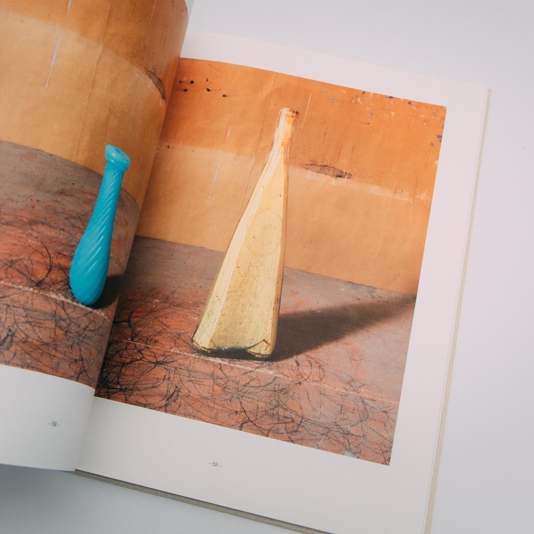 アート・デザイン・音楽 Joel Meyerowitz: Morandi's Objects