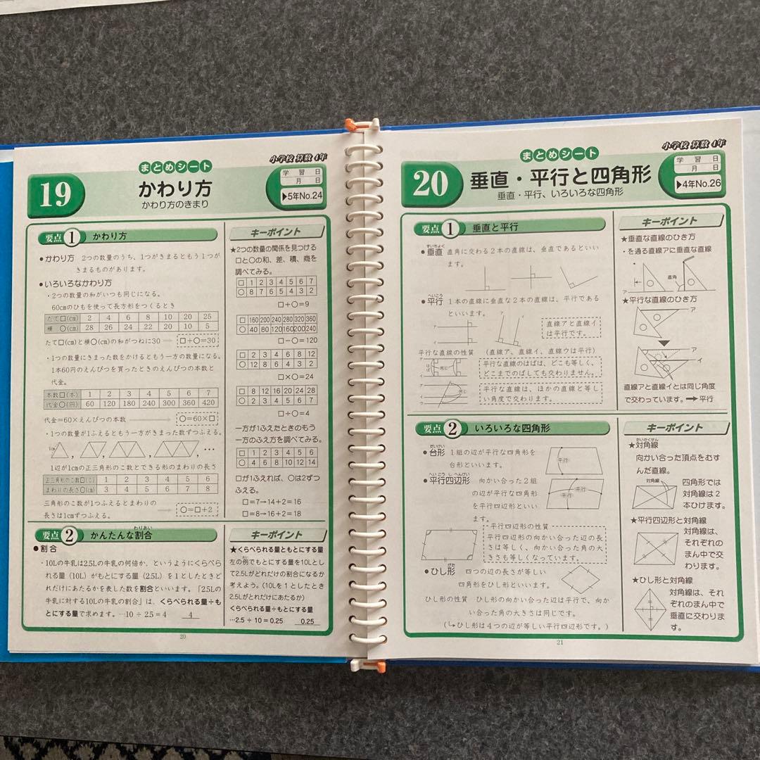 家庭学習専用指導書 小4-6 算数　国語