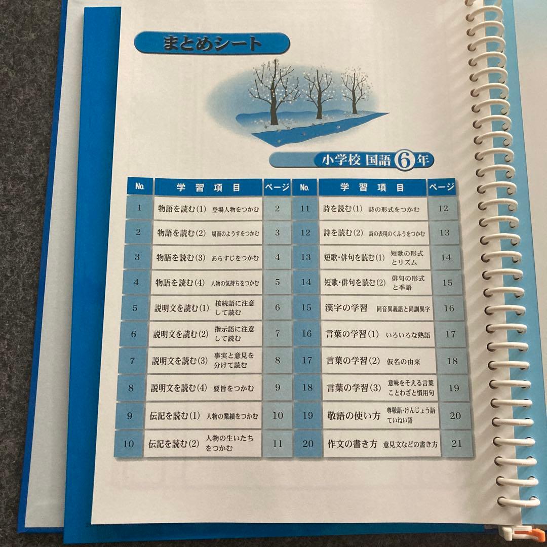 家庭学習専用指導書 小4-6 算数　国語