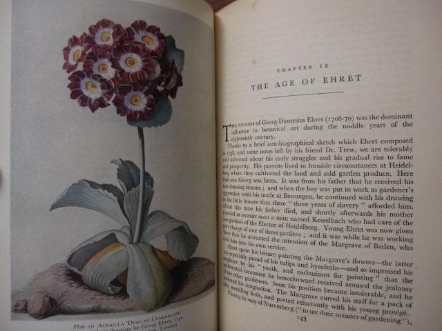 The Art of Botanical Illustration　植物画