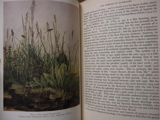 The Art of Botanical Illustration　植物画