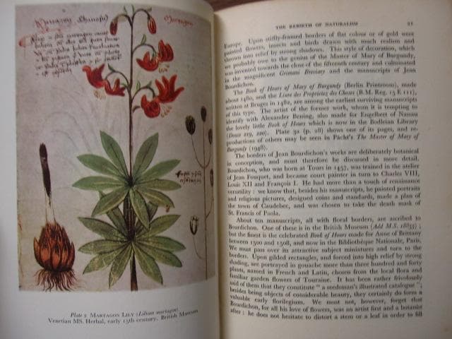 The Art of Botanical Illustration　植物画