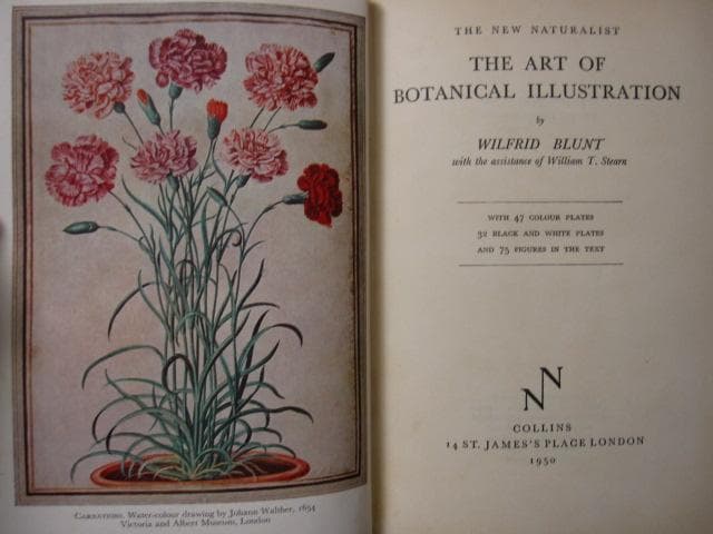 The Art of Botanical Illustration　植物画