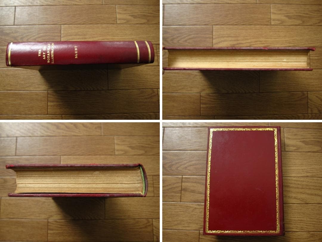 The Art of Botanical Illustration　植物画