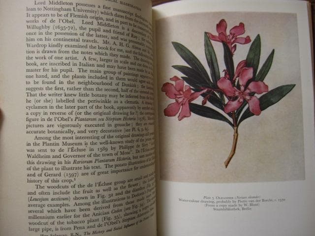 The Art of Botanical Illustration　植物画