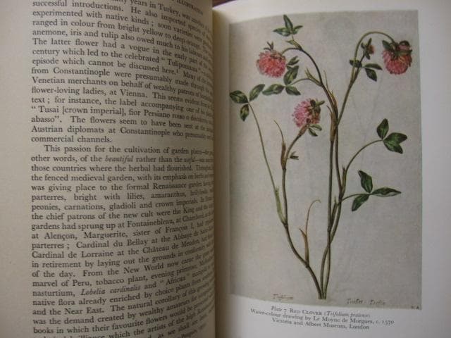 The Art of Botanical Illustration　植物画