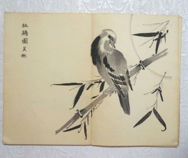 彩色木版画画帖本竹洞花鳥畫譜初版中林竹洞名古屋の江戸後期の画家安永5年～嘉永6年
