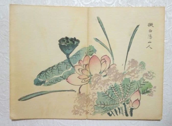 彩色木版画画帖本竹洞花鳥畫譜初版中林竹洞名古屋の江戸後期の画家安永5年～嘉永6年