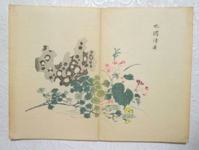 彩色木版画画帖本竹洞花鳥畫譜初版中林竹洞名古屋の江戸後期の画家安永5年～嘉永6年