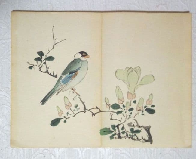 彩色木版画画帖本竹洞花鳥畫譜初版中林竹洞名古屋の江戸後期の画家安永5年～嘉永6年