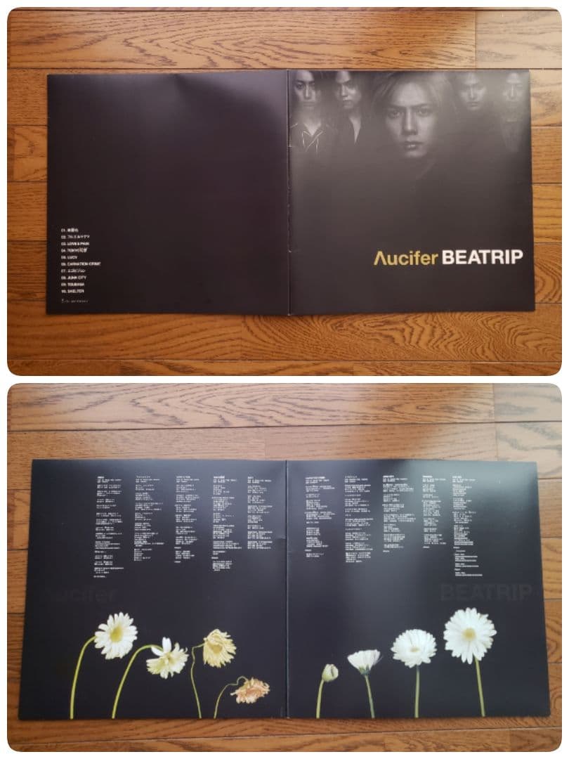 リュシフェル CD ビデオ 雑誌 Λucifer　快感フレーズ　越中 睦士