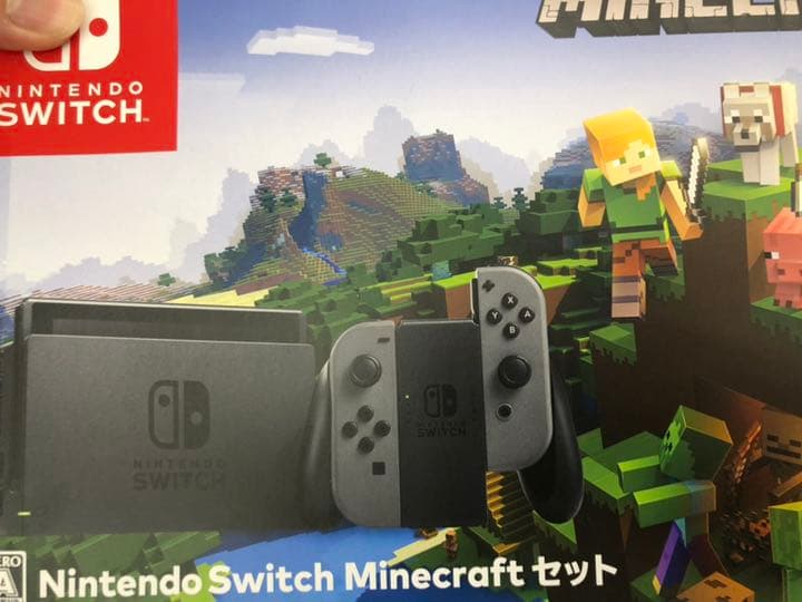 Switch マイクラ 本体セット(イーブイ+マリオUデラックス付き)