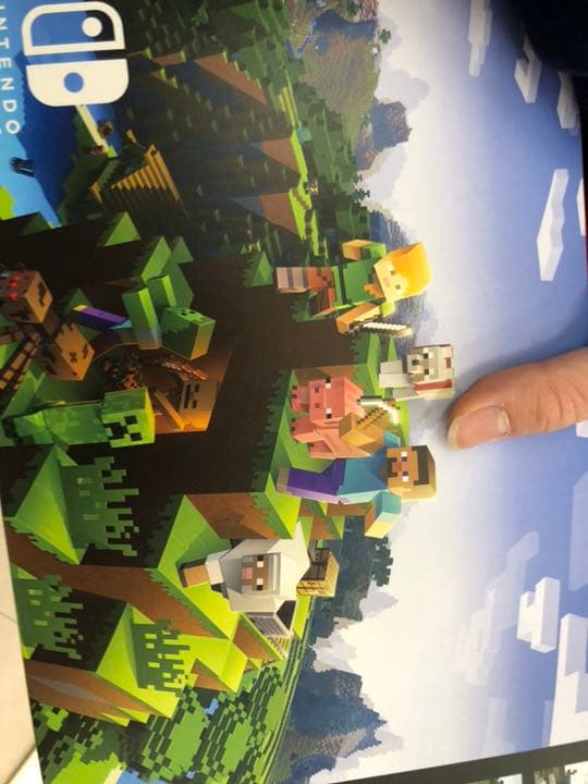 Switch マイクラ 本体セット(イーブイ+マリオUデラックス付き)