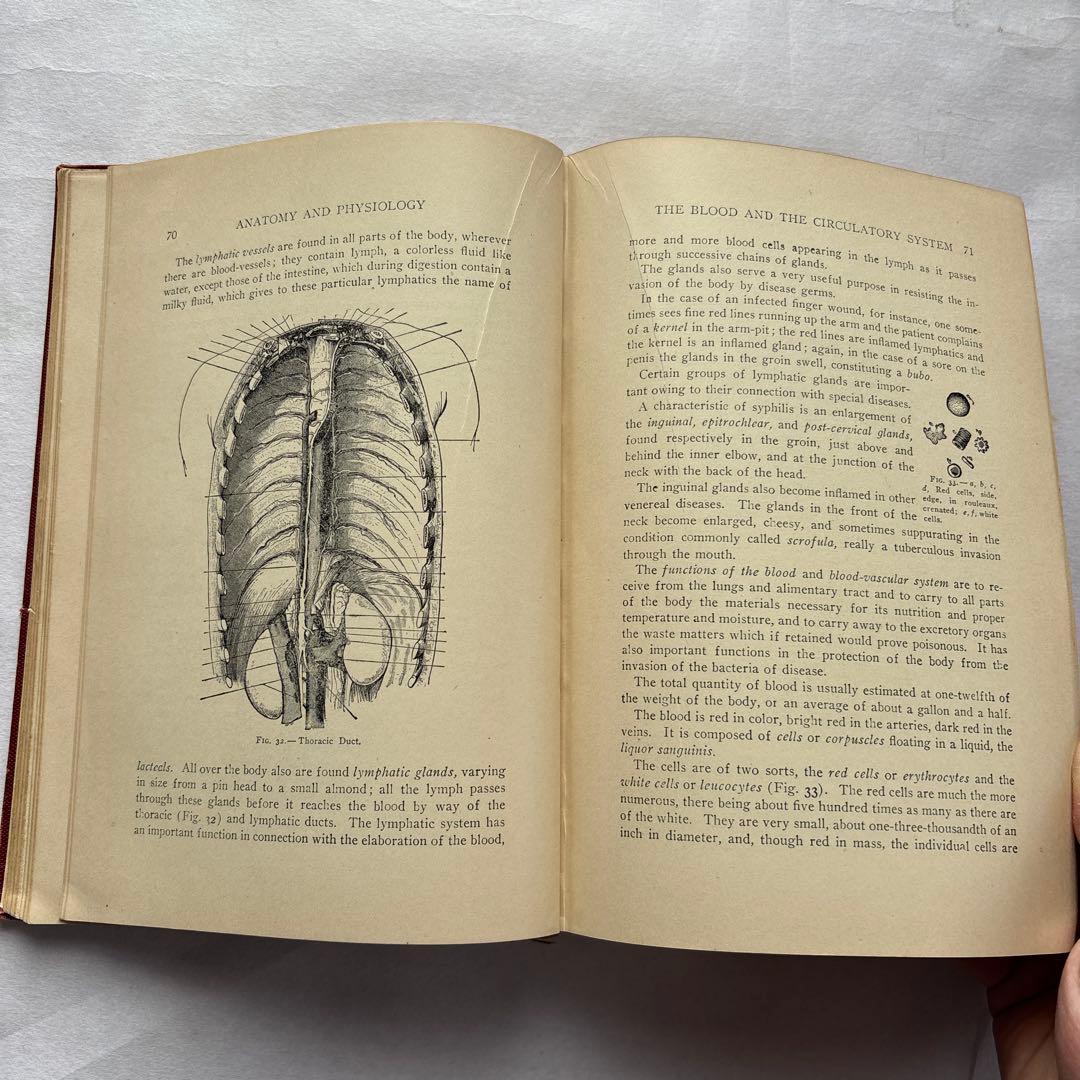 【洋書・軍事】米国陸軍、海軍衛生部隊、州兵、海軍民兵のための完全ハンドブック