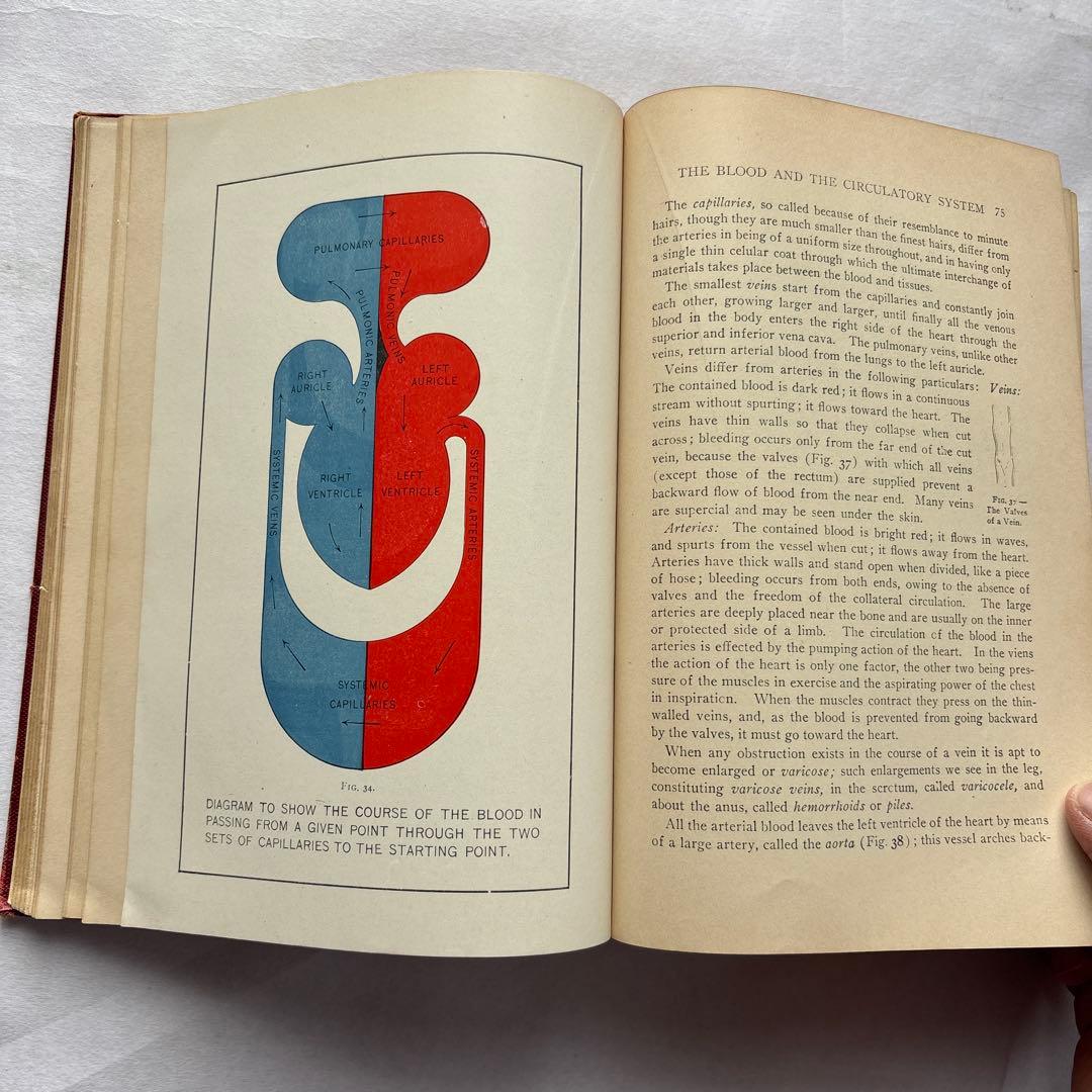 【洋書・軍事】米国陸軍、海軍衛生部隊、州兵、海軍民兵のための完全ハンドブック