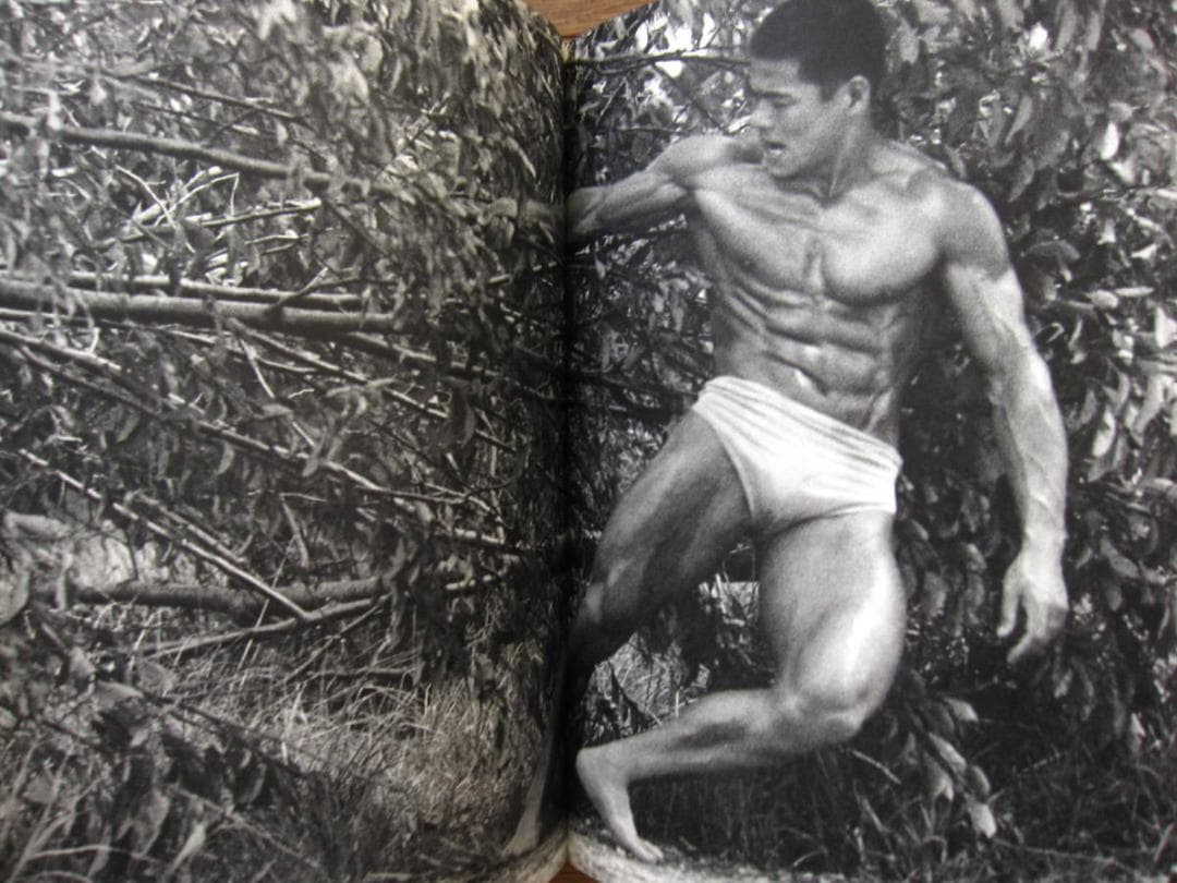 体道 Young Samurai: Bodybuilders of Japan