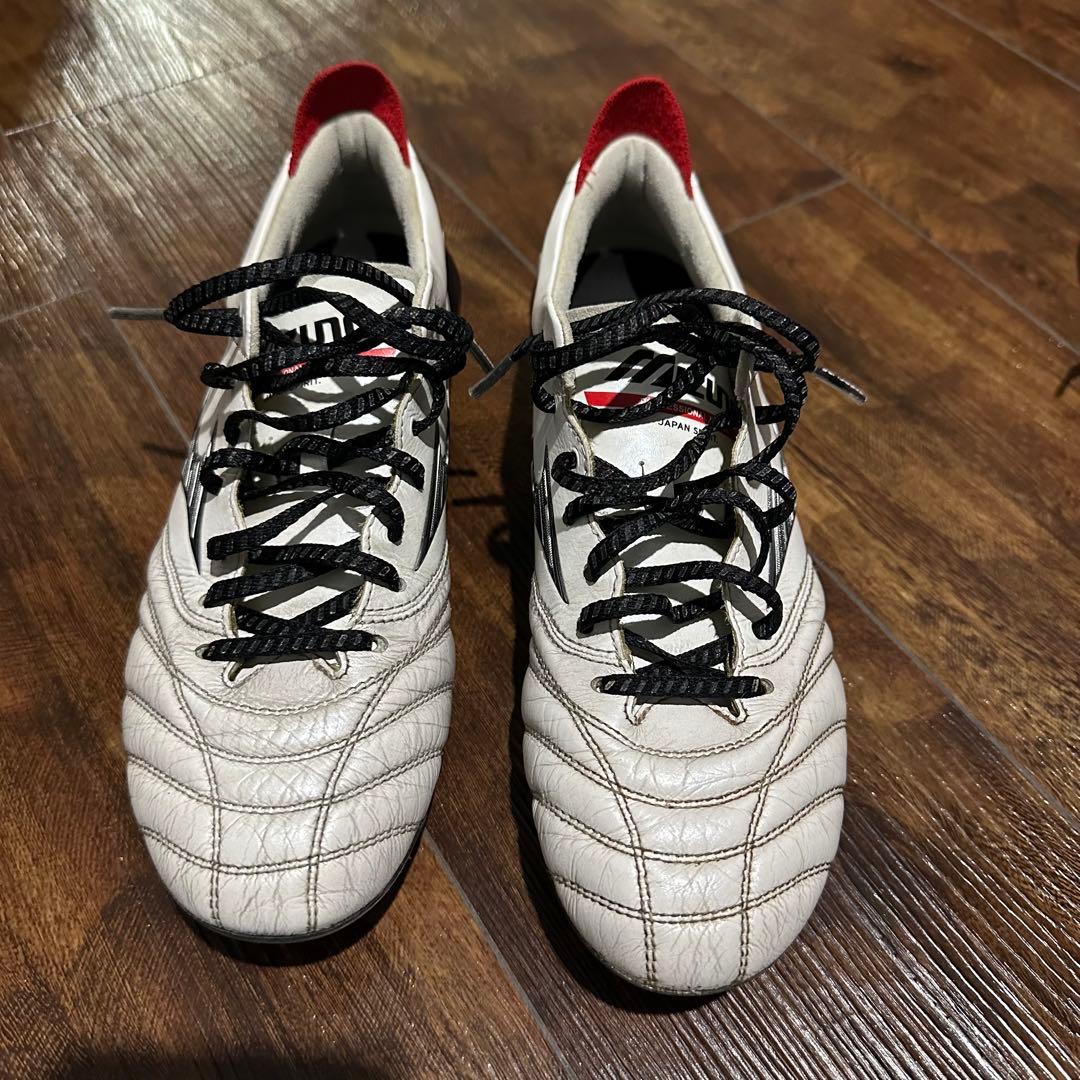 24.0cm モレリアネオ4