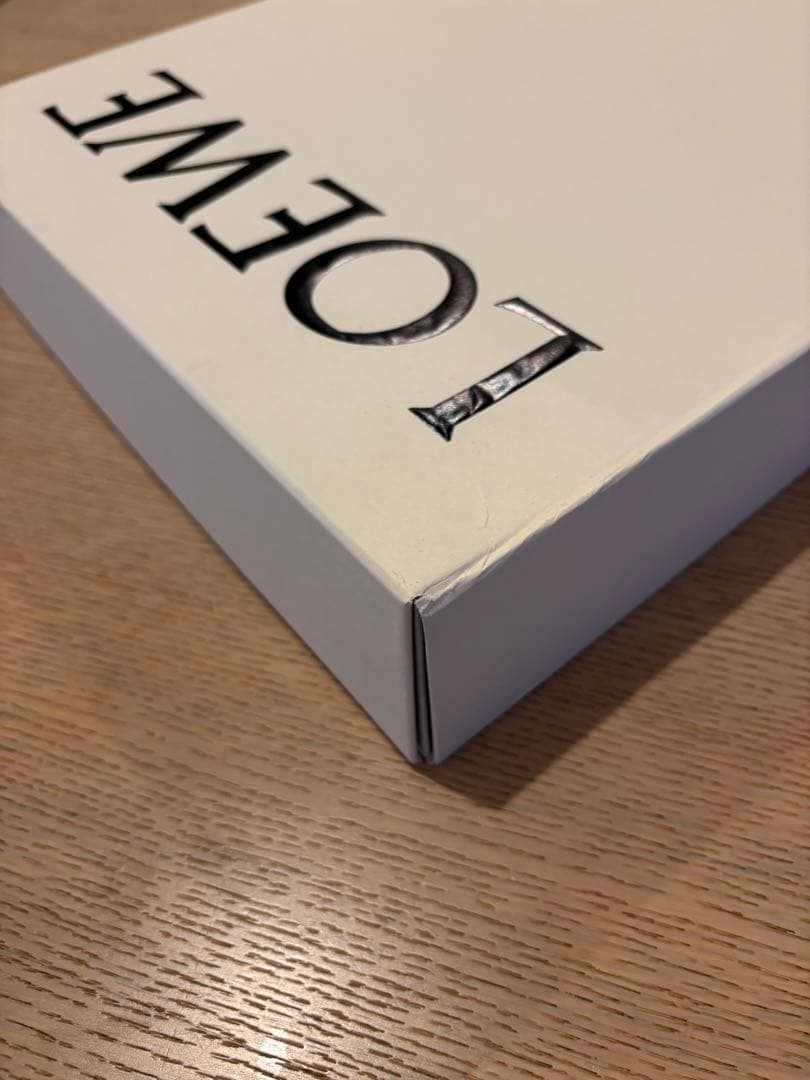 限定 LOEWE BOOK (With original box) アートブック