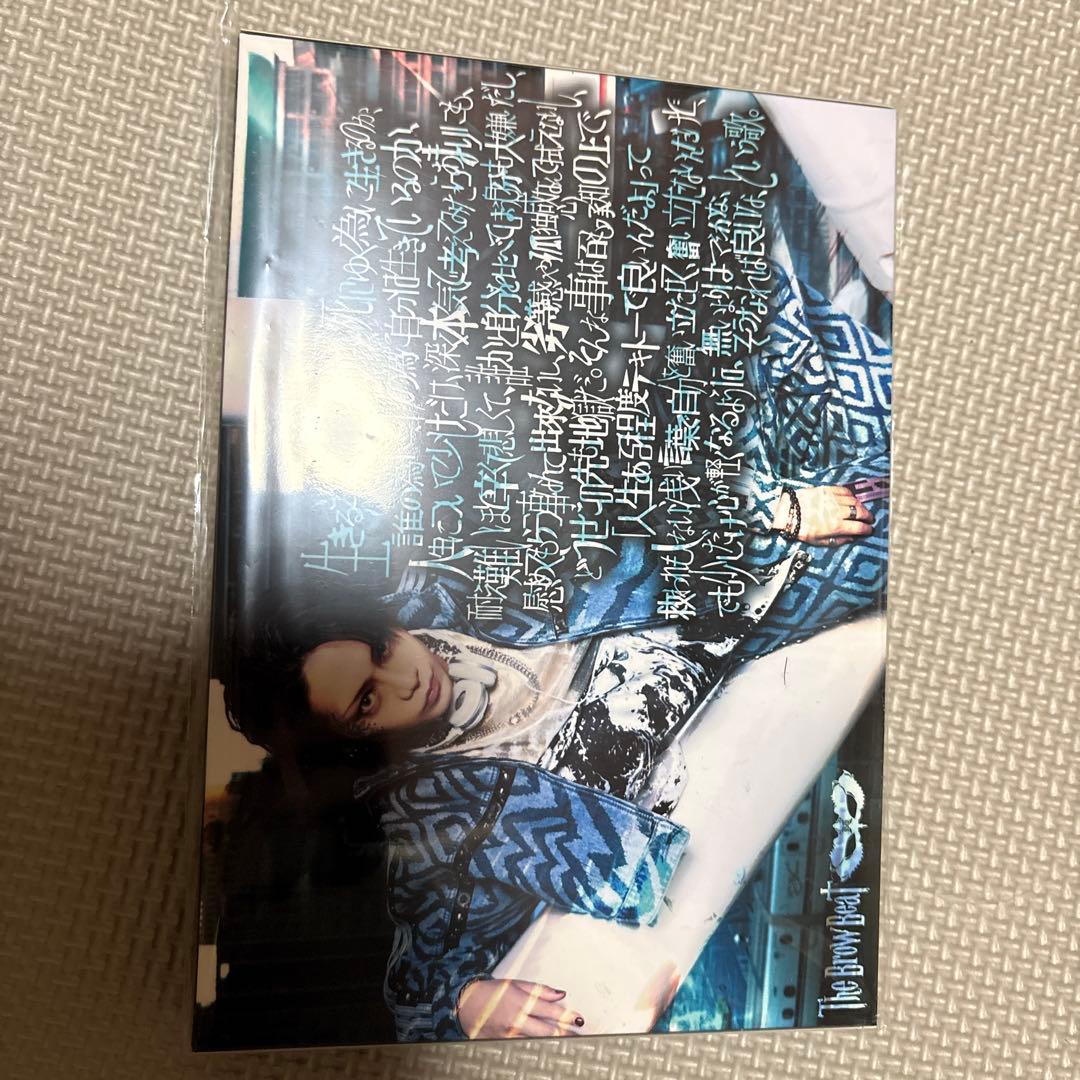 The Brow Beat 初回受注生産生き死に、死に生き