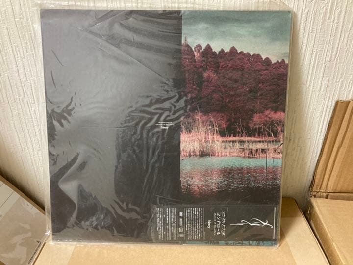 Merry レコード　レア