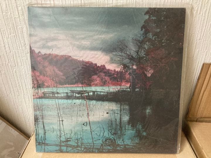 Merry レコード　レア