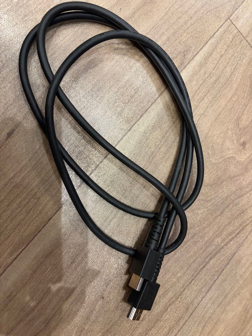 【Nintendo Switch 本体 】あつまれどうぶつの森