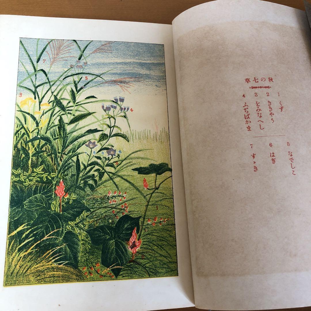 古書　野外植物の研究