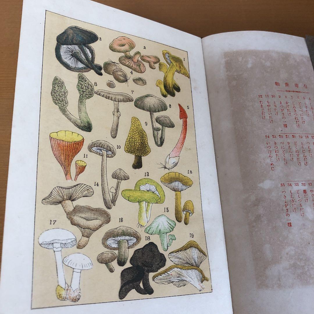 古書　野外植物の研究