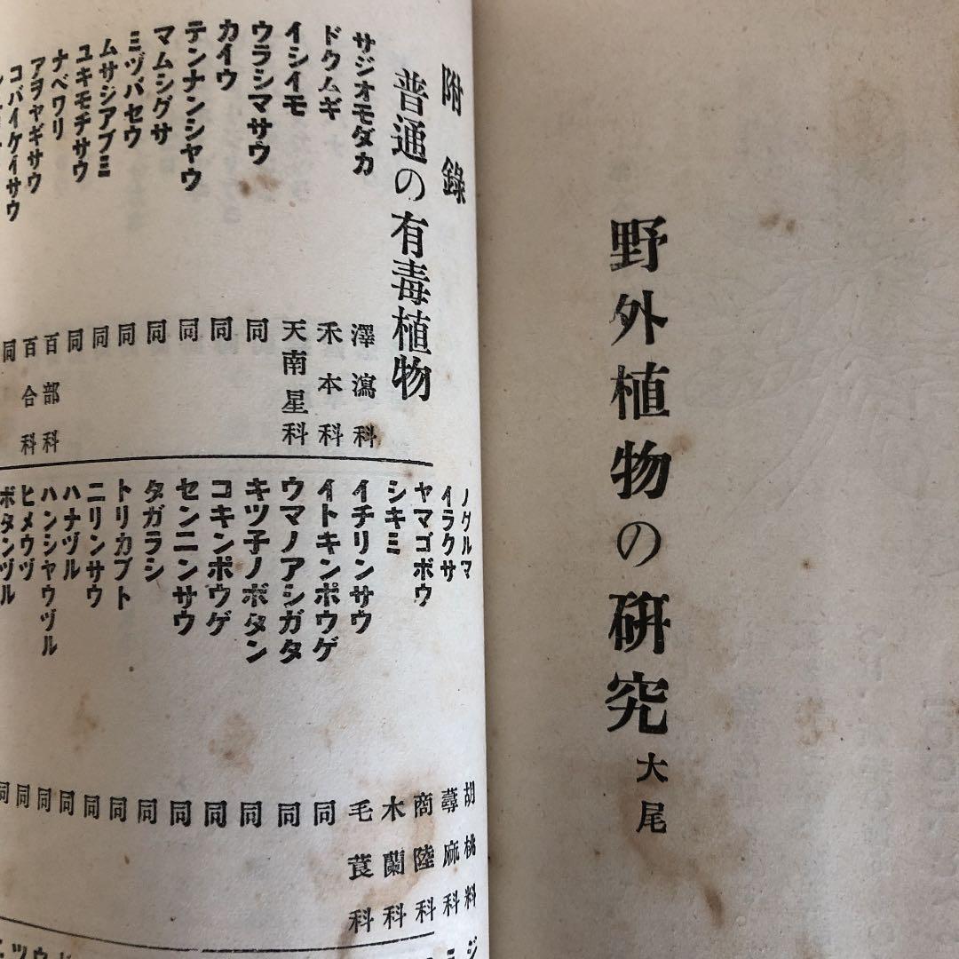 古書　野外植物の研究