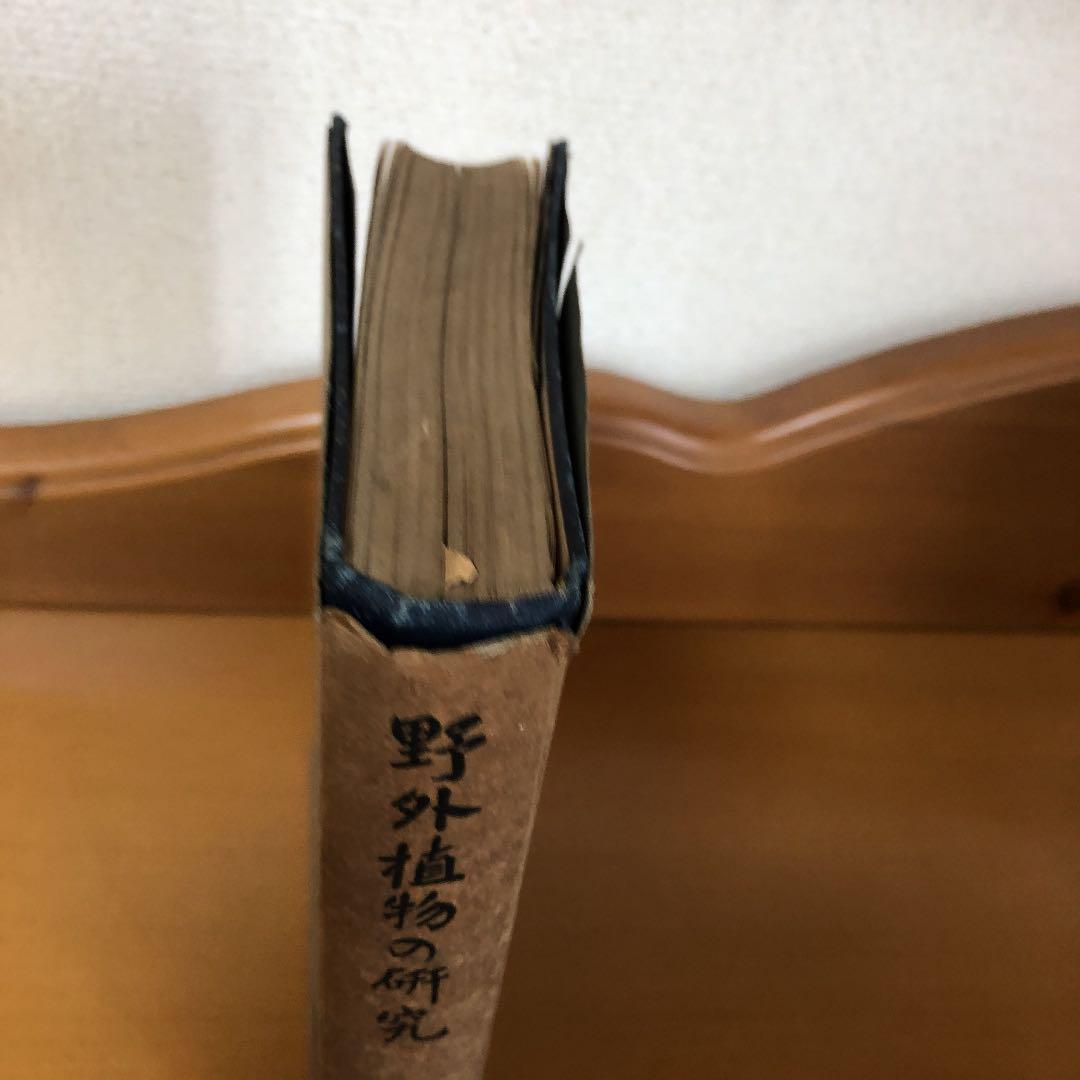 古書　野外植物の研究